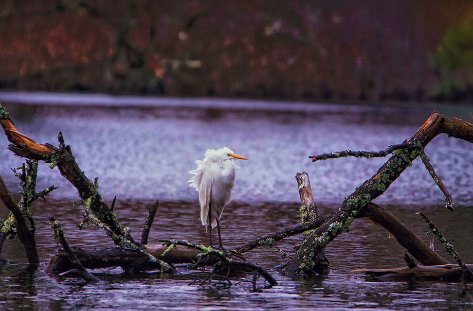 IMG_7635-HDR-Edit 2 2 copy 3.jpg