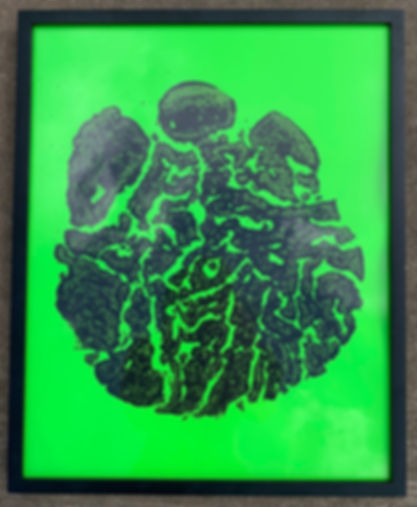 Special EAF Herd Footprint (Framed)