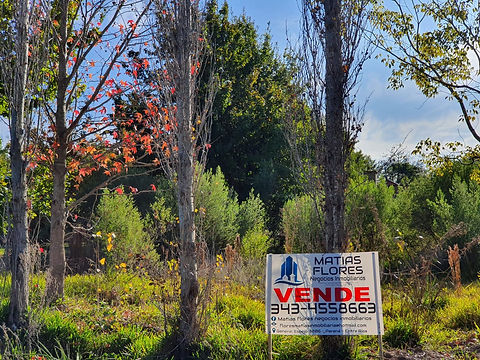 WhatsApp Image 2020-06-01 at 15.26.32 (1