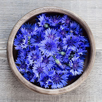 Água centaurea