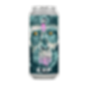 SNE-EXP_Mockup-Cesar-Square_0_5x-removebg-preview.png