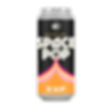 SNE-EXP_Mockup-SpacePopVIII-Square-removebg-preview.png
