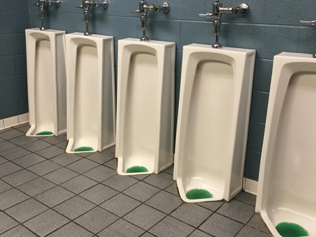 The Saga of the Stand-Up Potty