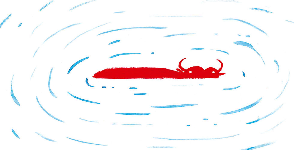 Thumbnail: The Red Bull