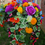 Thumbnail: Spring/Summer Hanging Basket (Two for £75)