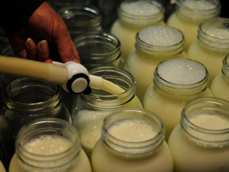 MILK: My Election Journal: 12/28/23