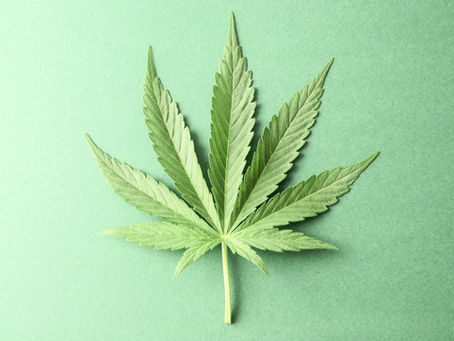 The Cannabis Already Inside You
