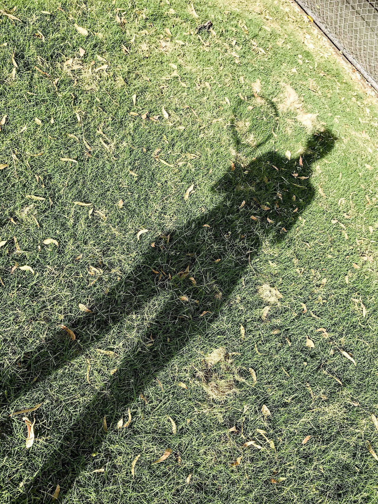 blog8