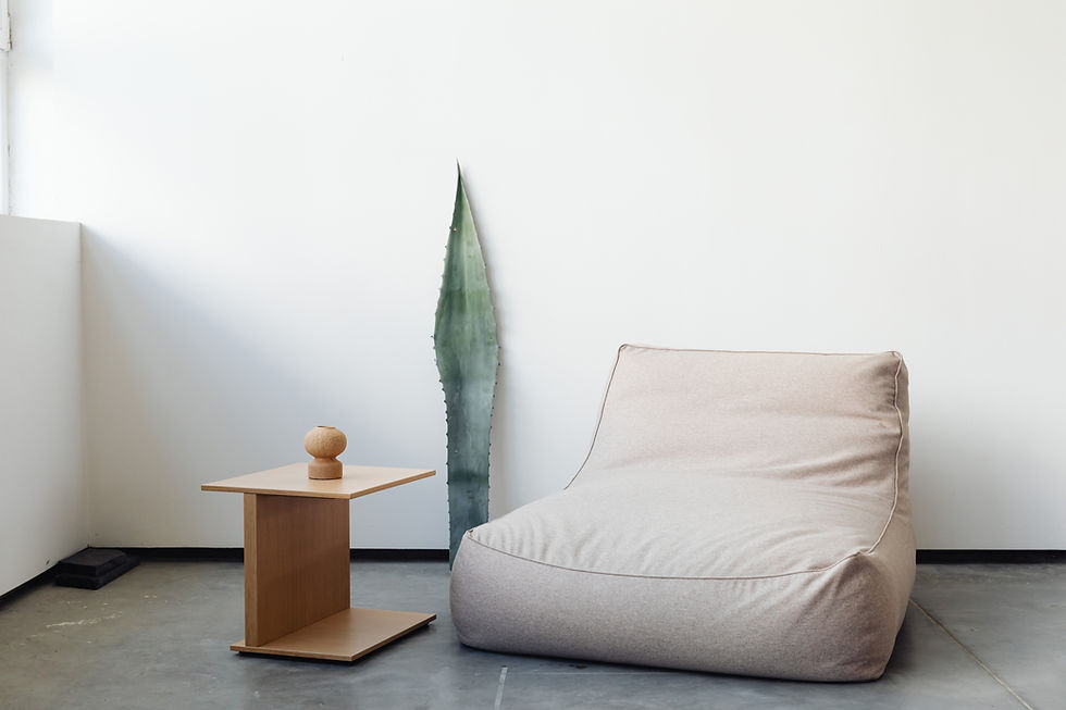 Sala d’estar lluminosa amb decoració minimalista