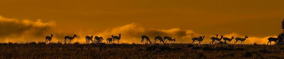 CHD_8011-20260422-DxO_DeepPRIME XD3.jpg