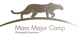 mara major camp maasai mara