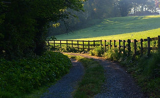 path-4495045_1280.jpg