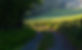 path-4495045_1280.jpg