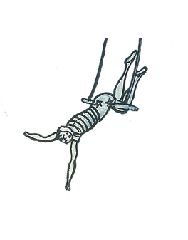 Trapeze 01.png