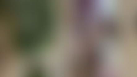 A travel guide to visiting Italy with your friends