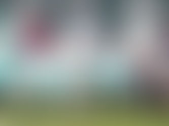 Junior Boks learn valuable lessons in victory