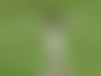 Saka hat-trick secures World Cup bronze for England