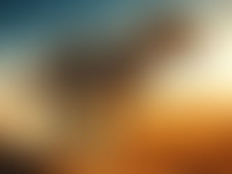 Toyota Cheetahs touring squad announced for EPCR Challenge Cup Rounds three and four