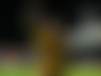 Stormers stretch their URC lead