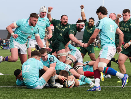 Lions land South African silverware