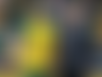Vermeulen believes Wallabies will take lessons from RGR