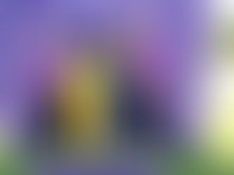 Gorgeous Meso century leads Lions to Pro50 victory