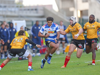 Stormers XXIII denied at the death by Cheetahs
