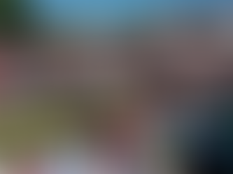 Presidents Cup teams are set