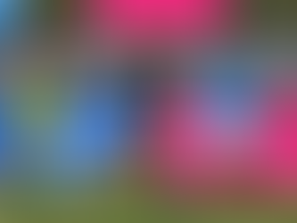 Kavaliers make 11 changes for Border battle