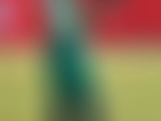 CSA celebrates multiple gsports Awards nominations