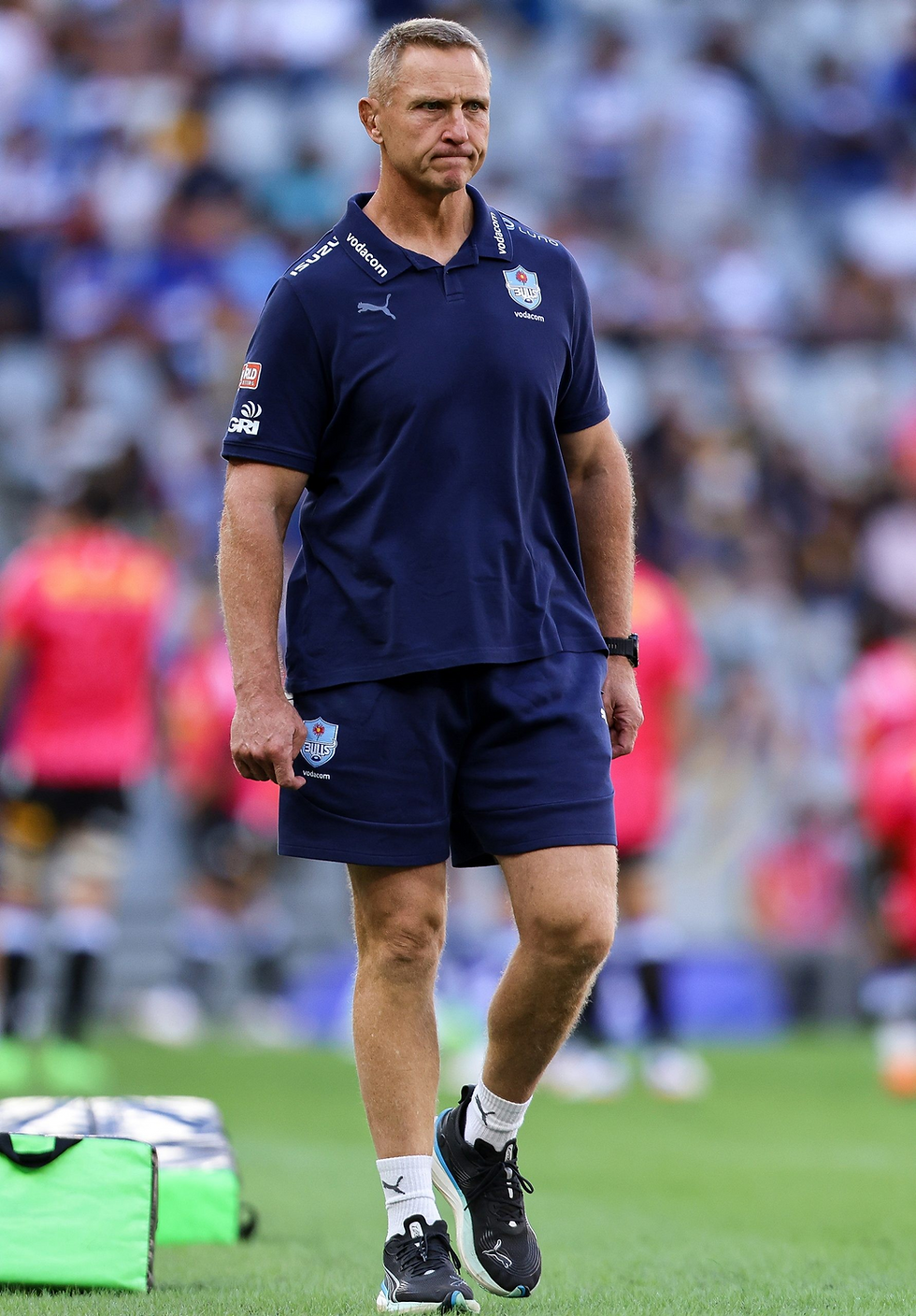 Ackermann's Bulls braced for the All Blacks