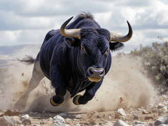 Bulls ring the changes for URC battle with Scarlets