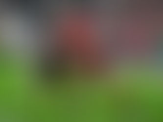 Rising stars in the running for URC Award