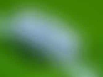 Champions League Matchday 6: Key stats and what to look out for in every game