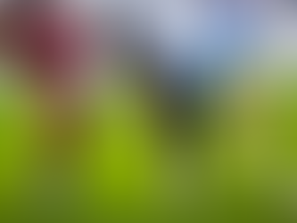 Stormers, Lions and Bulls move up on Vodacom URC log