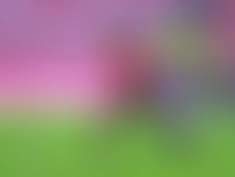 This is the moment Chris Smith has been waiting for