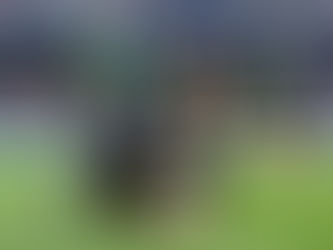 Semi-final review – Northampton Saints and Union Bordeaux-Bègles to contest 2025 Investec Champions Cup Final in Cardiff