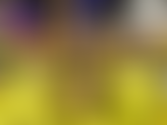 Men’s Cricket World Cup 2027 venues and brand revealed