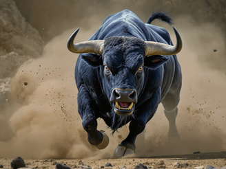 Coetzee back as Bulls ring the changes for Ulster challenge