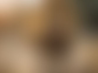 Venter back, Mahashe starts for Lions against Sharks