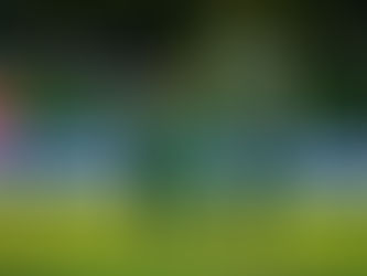 Dercksen powers Proteas Women to series success