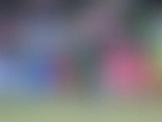 Luus and Jafta lead Proteas Women to ODI victory