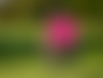 Albertse in seventh heaven