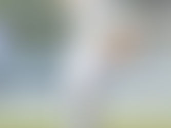 Central Gauteng Lions dominate Khaya Majola Cricket Week