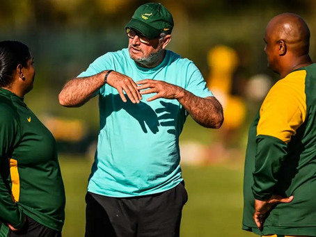 Springbok Women to host Ireland in Cape Town