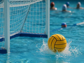 Swimming South Africa and South African Water Polo commit to a unified future for the sport