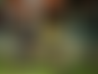 Kavas bag five valuable log points in testing conditions