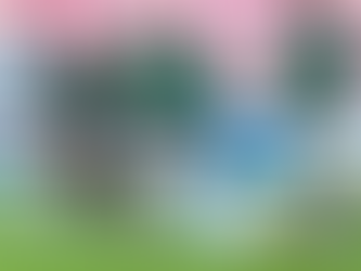 Strong start for Junior Boks in Gqeberha