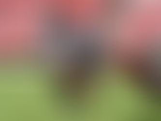 Stormers left frustrated in Joburg