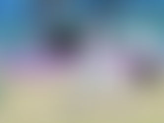 Hollywoodbets Dolphins eager to continue winning momentum